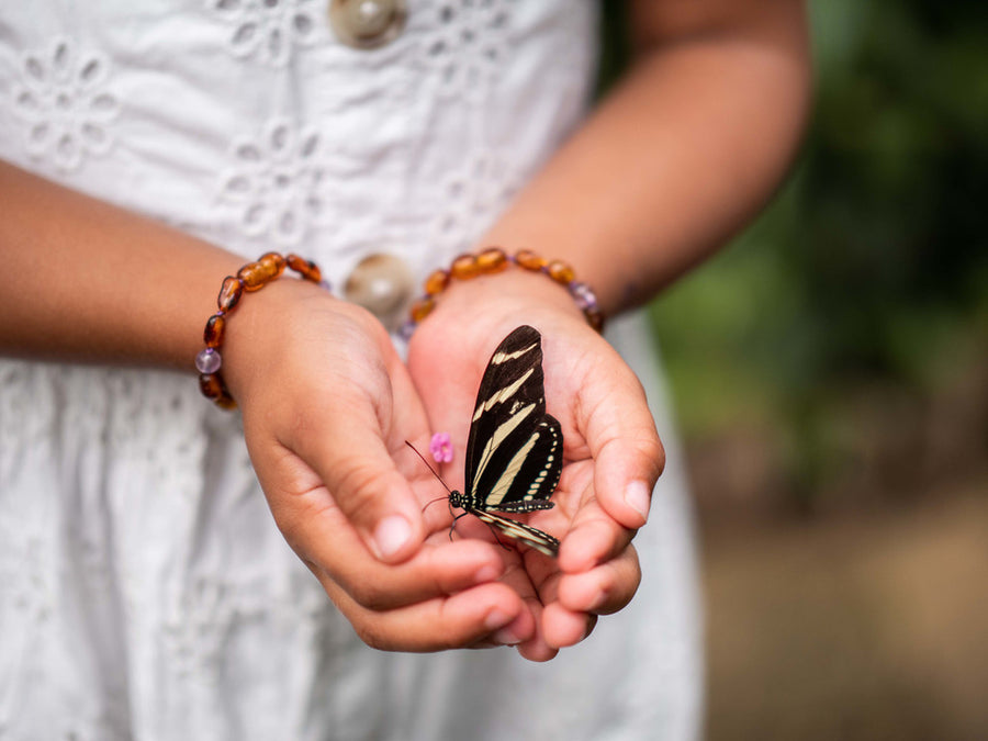 Pulsera de dentición natural con ámbar coñac y amatista para bebés y niños
